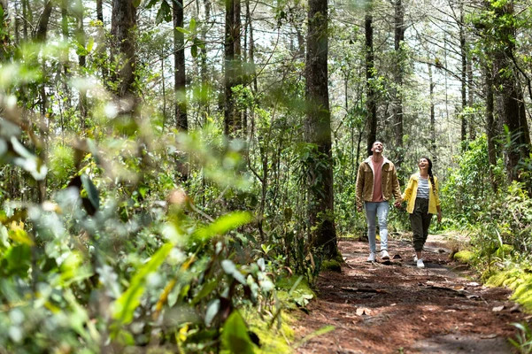 Ubicado entre los municipios de Medellín y Guarne, en las veredas de Piedras Blancas