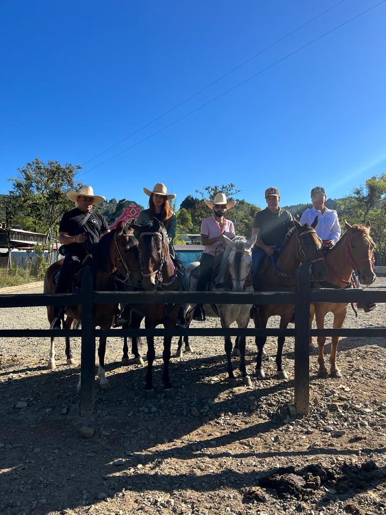 Tour de cabalgata