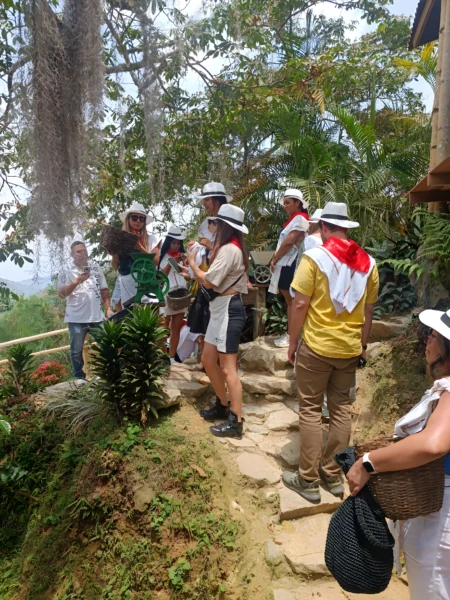 Coffee tours in Colombia offer a unique opportunity 