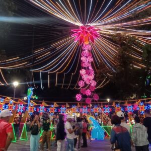 Tour de Luces por Medellin Compartido  (Temporada Decembrina)