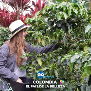 Coffe Tour San Sebastian De Palmitas Privado