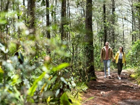 Parque Arví 1 Arvi naturaleza
