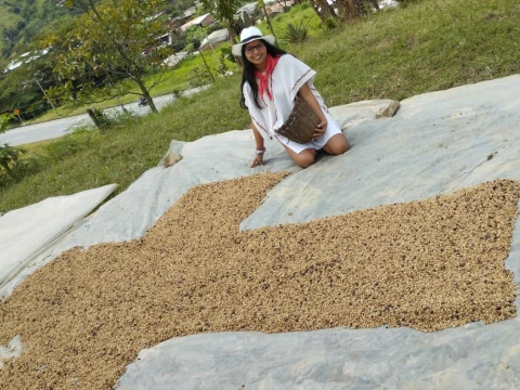 Coffe Tour 4 Turismo cde afee en colombia