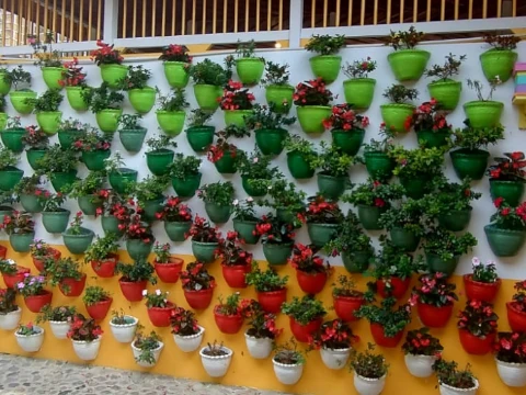 Jardín y Suroeste 4 Turismo en jardin